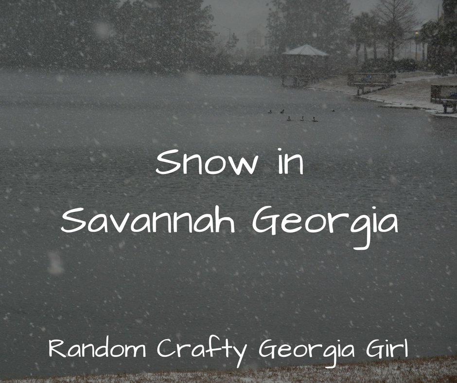 Snow in Savannah Georgia 
